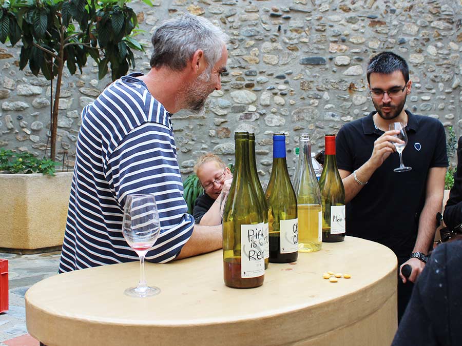 La Cave Apicole -  Domaine viticole et apicole de Sylvain RESPAUT à MONTNER